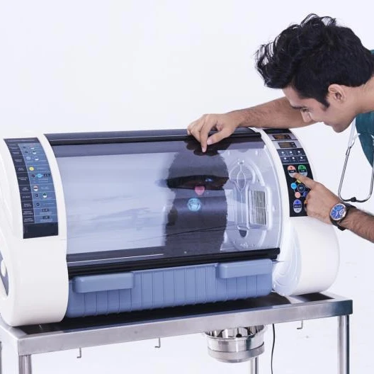 ICU Pet Incubator Room Dog Cat Air Conditioner Incubator Small Pet Use Oxygen Incubator Cabines MSLDW01plus