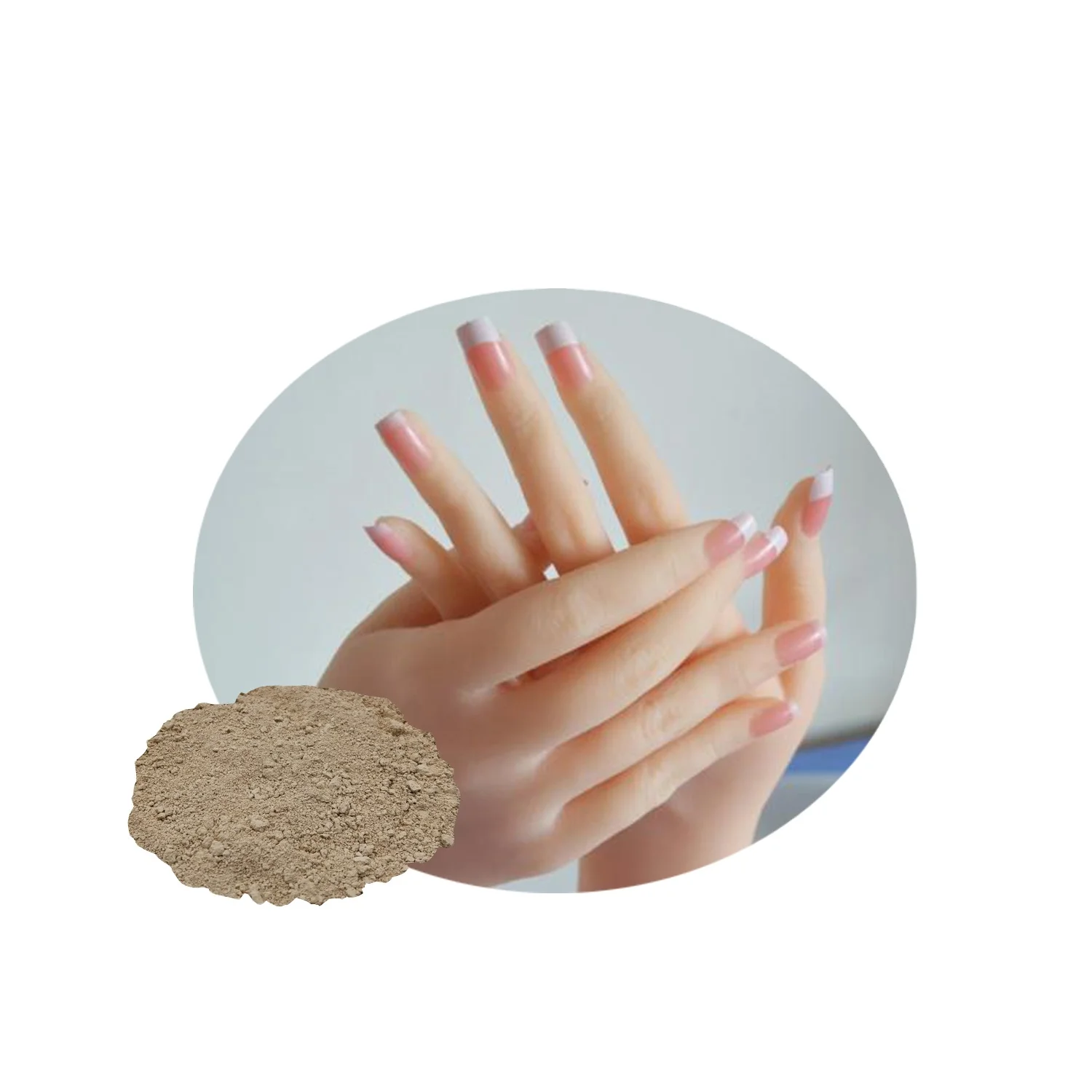 
2021 Premium High-end High Quality Service Food Grade Powder Skin Ceutical Phloretin 