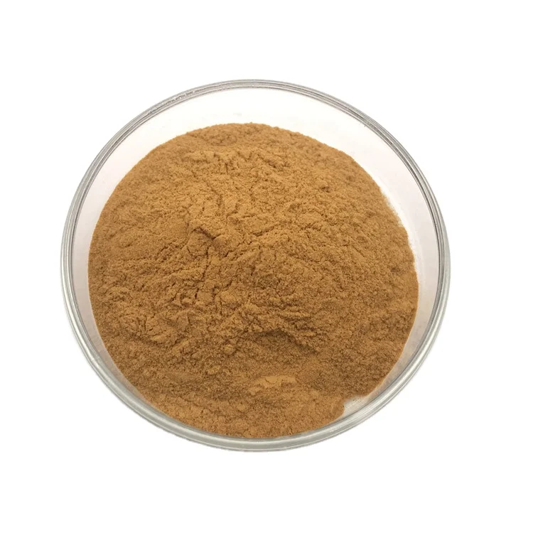 40% Camellia Sinensis Seed Extract Tea Saponin For Cosmetic