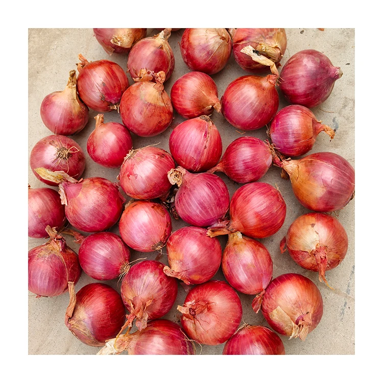 Fresh Onions Red Yellow Purple Exporter Chinese Vegetables Wholesale Red Onion Fresh