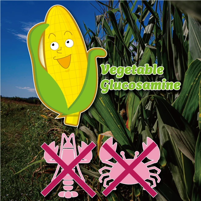 Japan analgesic and anti-inflammatory glucosamine curcumin pills price