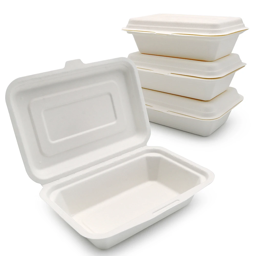 Custom PFAS Free Eco Friendly Take Away Out Biodegradable Packaging Disposable Food Container Degradable Bento Lunch Box