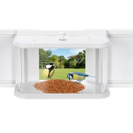 Clear View Indoor Window Bird Feeder for Watching Wild Birds in Bedroom Durable Bowl for Food inside House Viewing