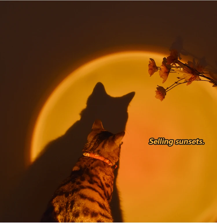 
Photography Living Room Bedroom Table Halo Led Night Sunset Lamp Light, Rainbow Modern Led Floor Light Sunset Projection Lamp 