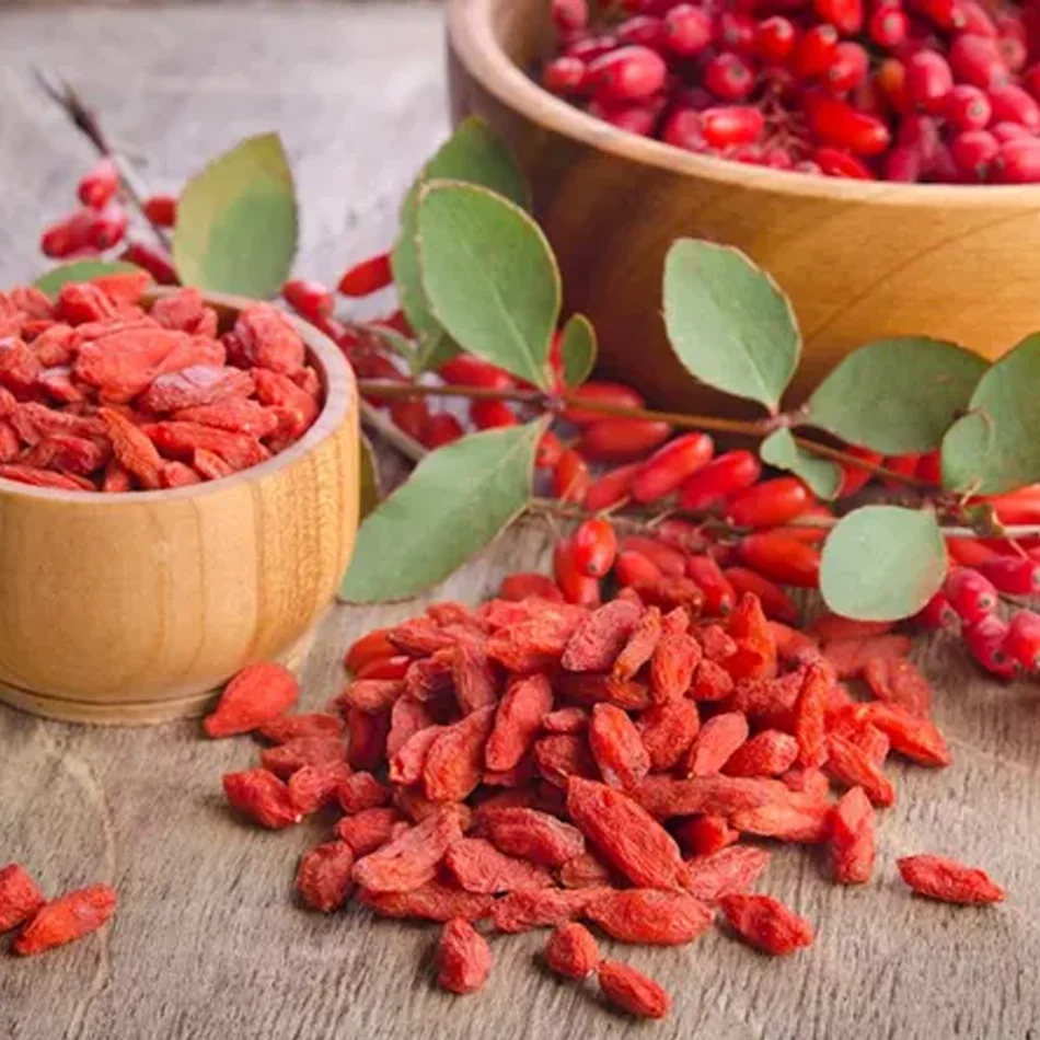 Ягоды Годжи фруктовый чай Сушеные ягоды Травяной Китайский Wolfberry