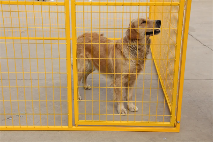 Galvanized Steel Dog Run Cage Dog Kennels