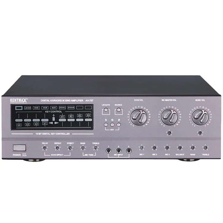 Malaysia Market Promotional Discount Karaoke 200W  Power Amplifier with audio sound speaker