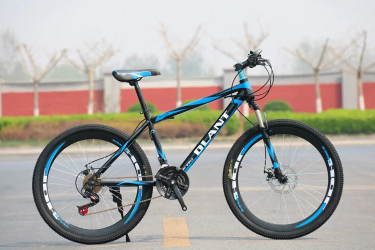 Variable speed bicycle for travel in 2020