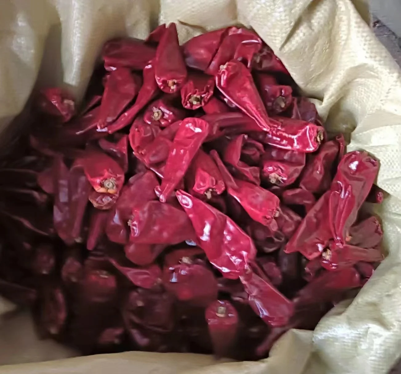 Dried Red Chili  Dry Hot Pepper  Chinese Dried Red Chilli