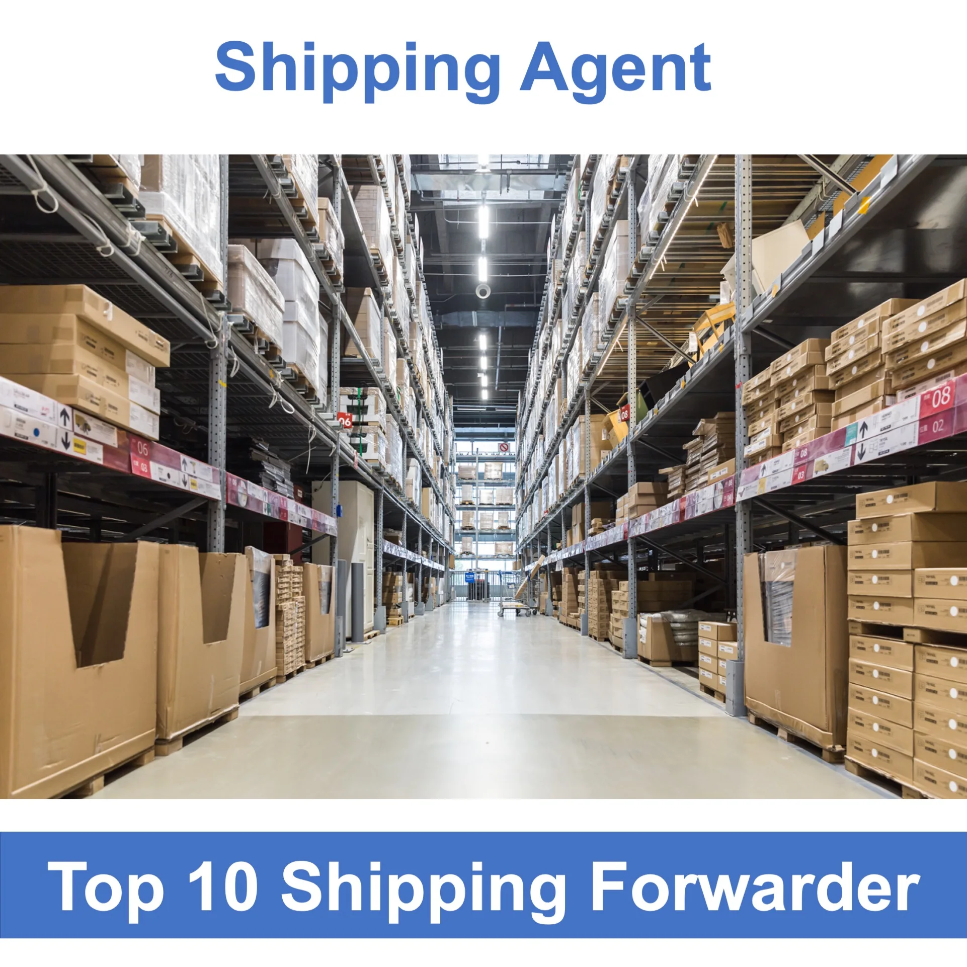 Ddp Freight Forwarder From China To Saudi Arabia India Usa Pakistan South Africa Iraq Uae Dubai Egypt Kuwait Shipping Agent