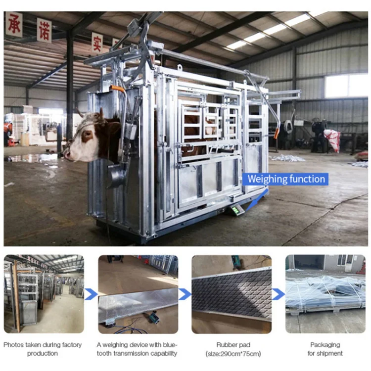 Livestock Head Bail Parallel Side Squeeze Farm Equipment Cattle Crush Hot Dipped Galvanized Squeeze Chute for Cattle Slaughter