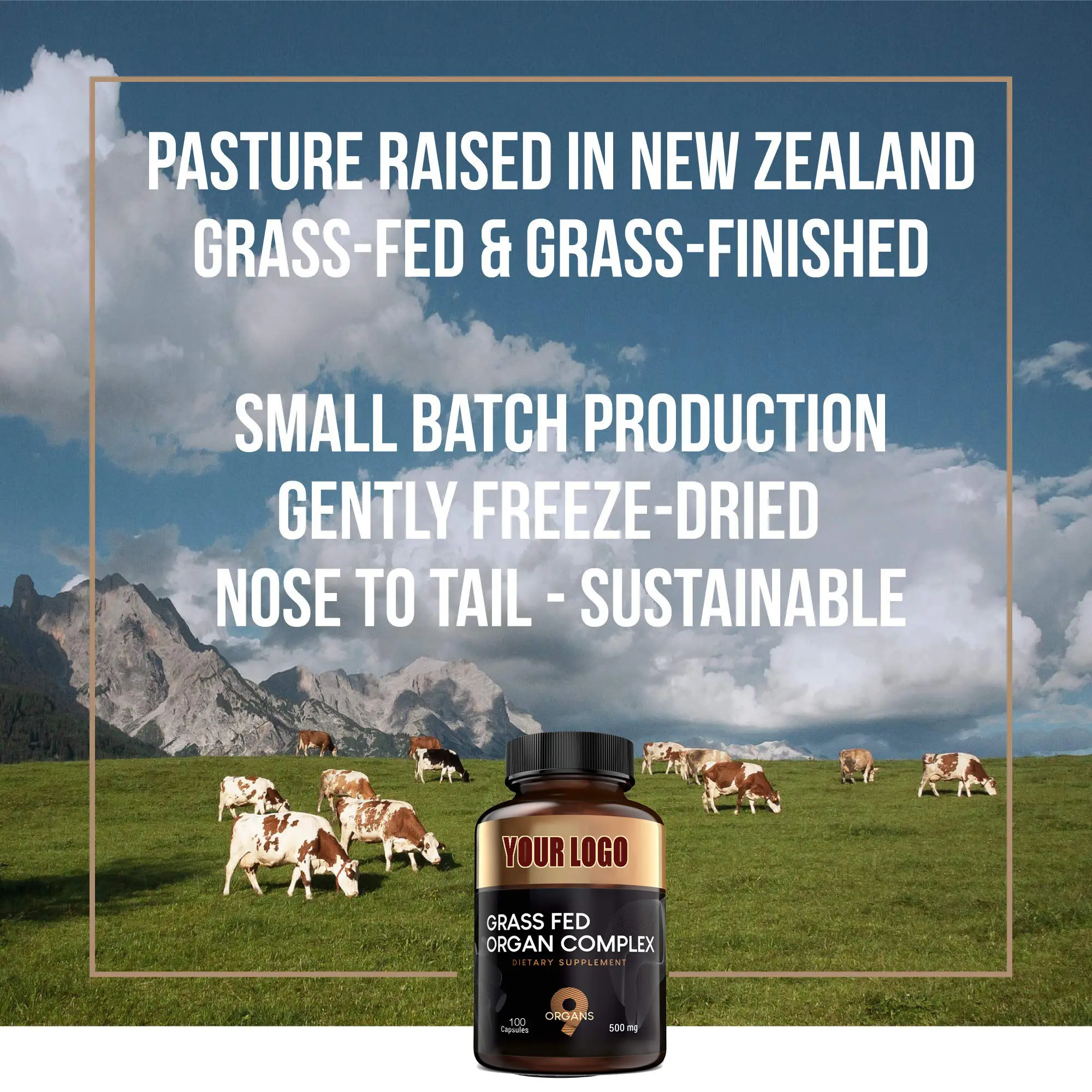 OEM Private Label Nutrient-rich Grass Fed Beef Organ Complex capsules New Zealand Grassfed Beef Organs Supplement