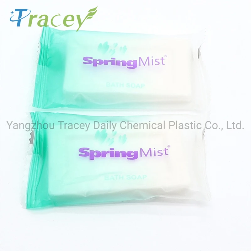 Small Organic Amenities Travel Round Toilet Bath Bar Soap Biodegradable Mini Hotel Soap