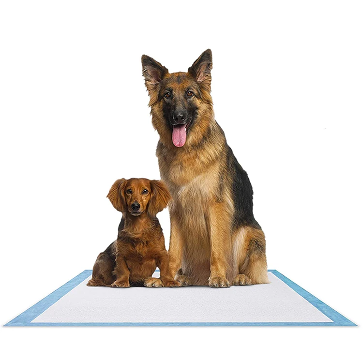 super absorbent high quality puppy underpad disposable pet training mats pet urine pads dog training pee pads