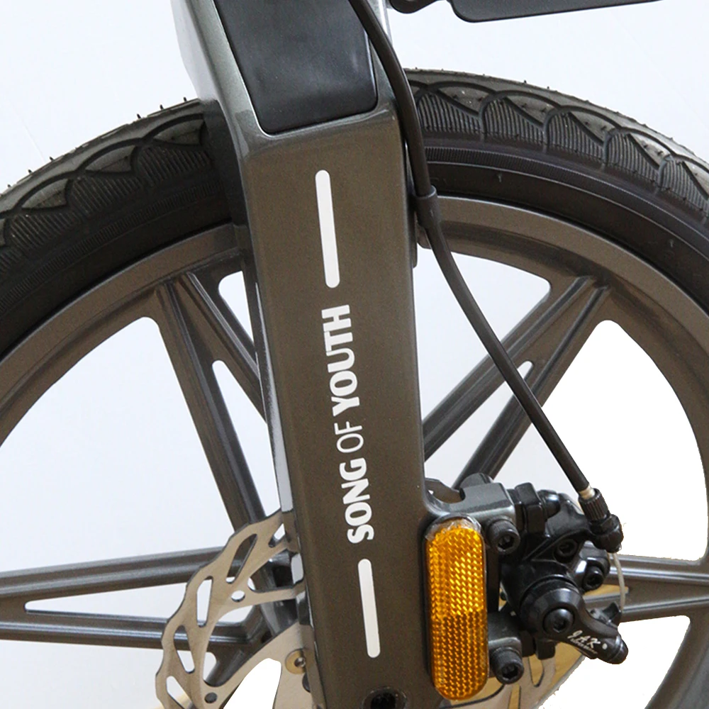 
Easy Riding Chinese Ladies Best Foldable electric Bike For Retail 