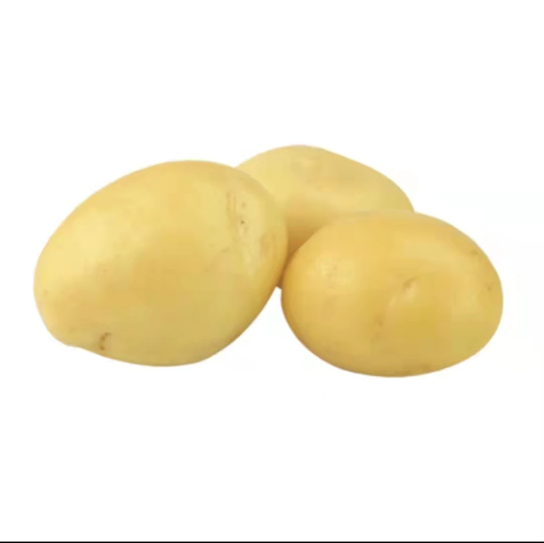 Promotional organic fresh kentang export in  China
