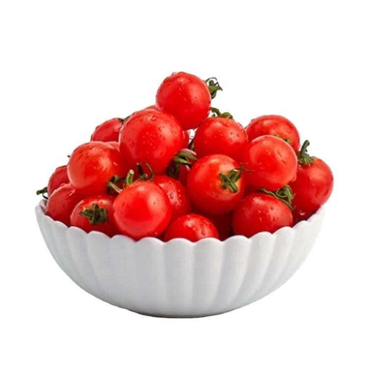 
RED Fresh Sale Cherry Tomato Growing Small Greenhouse Tomato Sweet Hybrid Cherry Tomatoes China 2020 Round Clean Cooking 0.02 Kg 