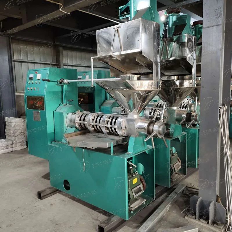 Mini 6yl 100 350kg/h palm thresher sunflower mustard peanut oil mill cold press oil machine for sale