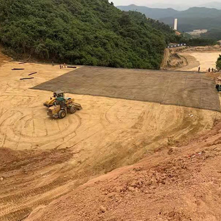 Factory Direct Price Plastic Slope Protection HDPE Uniaxial Geogrid For Reinforced Earth