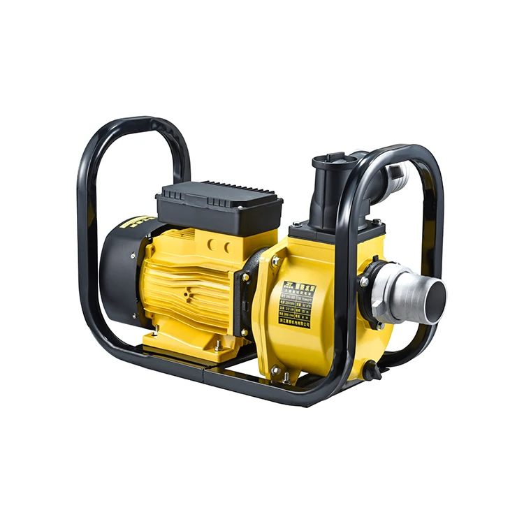 Agricultural 220V/380V 50Hz 3.5Hp Centrifugal Electric Pond Water Pump Irrigation Pump