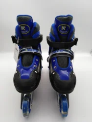 High Quality Two Wheels Roller Skating Shoes factory price