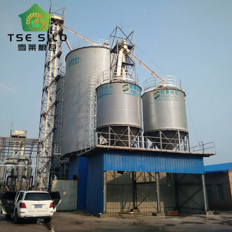 High Quality Silo for Chicken Farm TCZK 300T 400T 500T Steel Hopper Bottom Paddy Silos