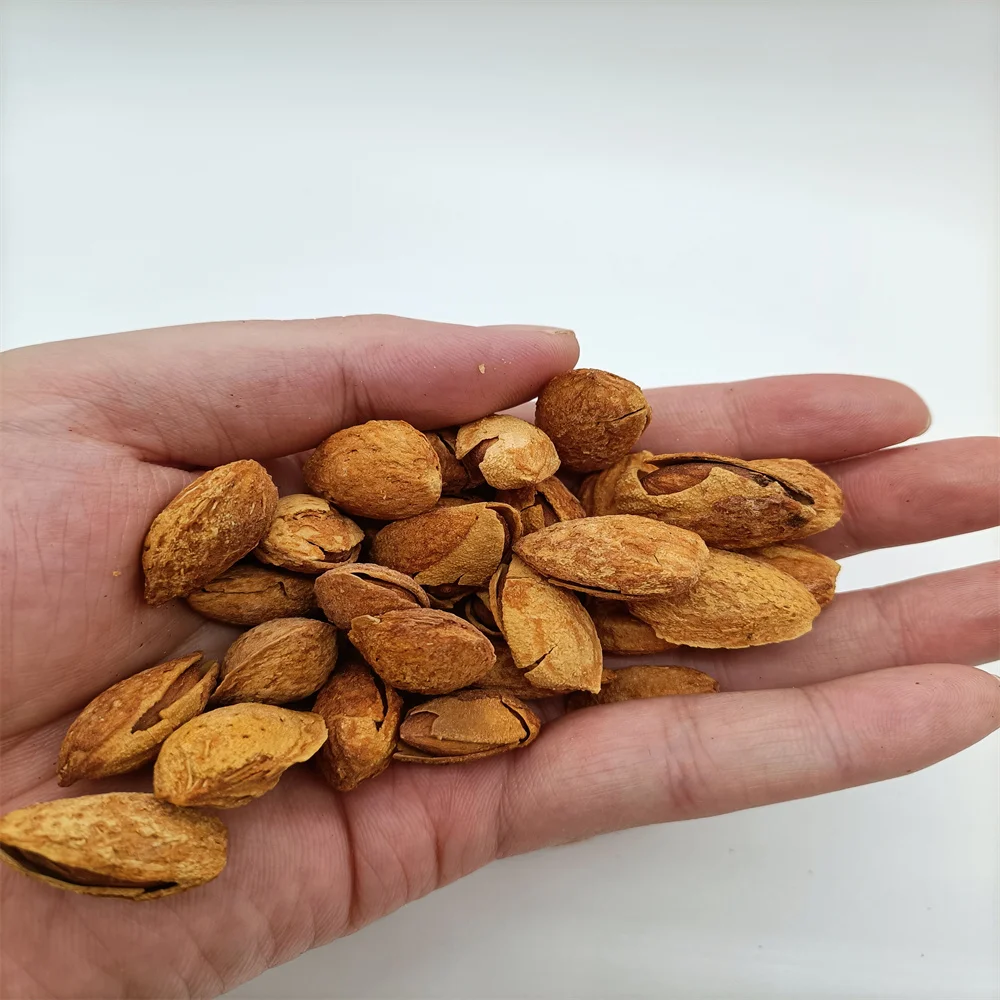 Raw Almond and Roasted Almond Thin Skin Almond