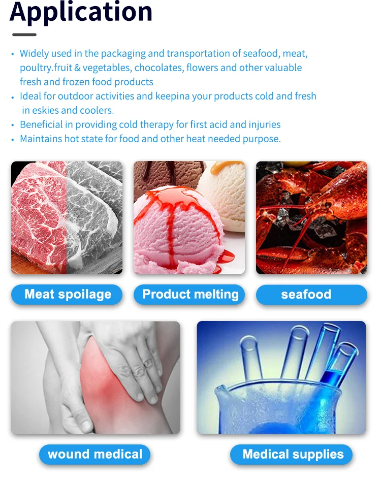 Disposable ice packs for shipping manufacturers food mini dry ice packs absorption cold sap material bags sheet