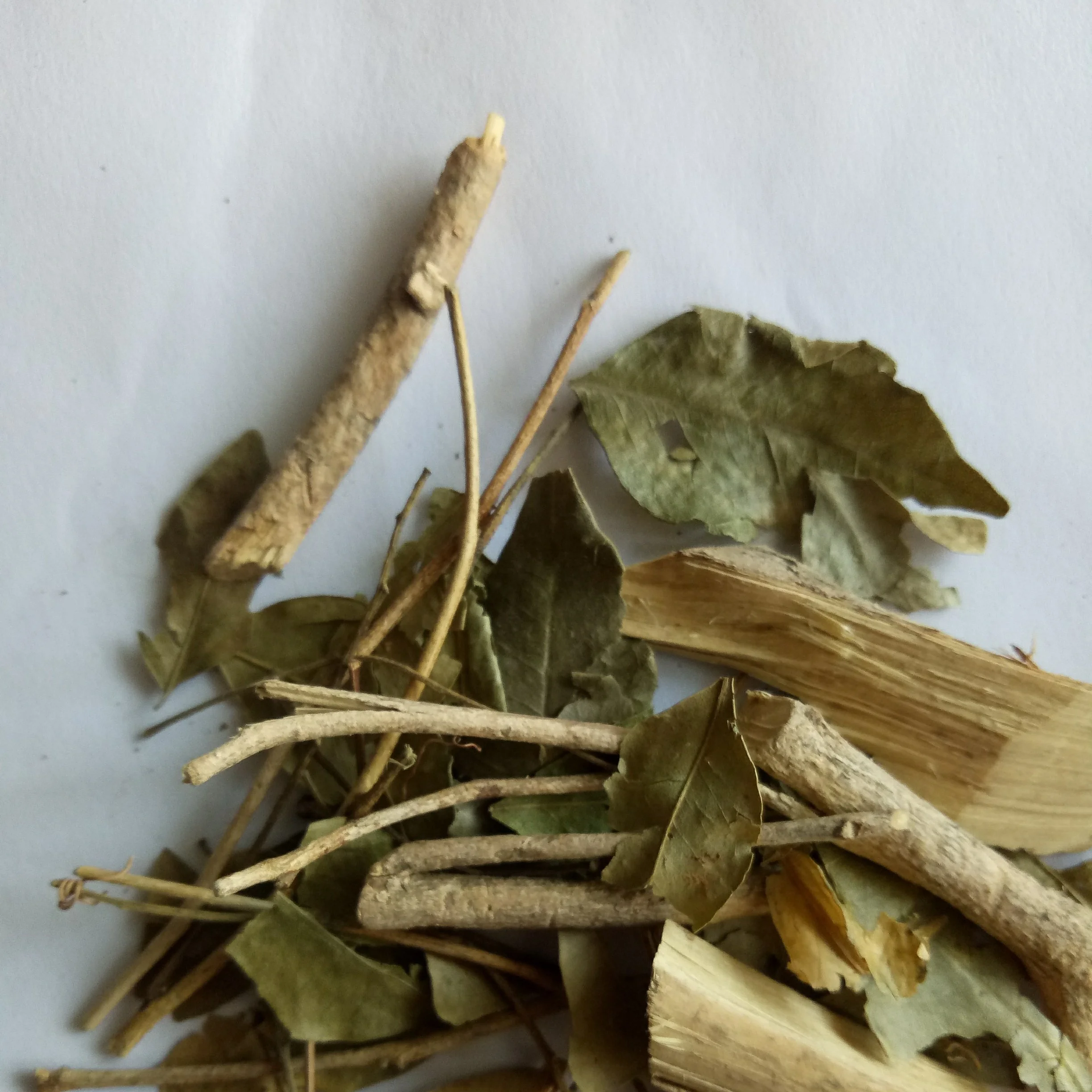 Dried wild herb new dried Dwarf mock Orange Jasmine Murraya exotica stems and leaves for sale