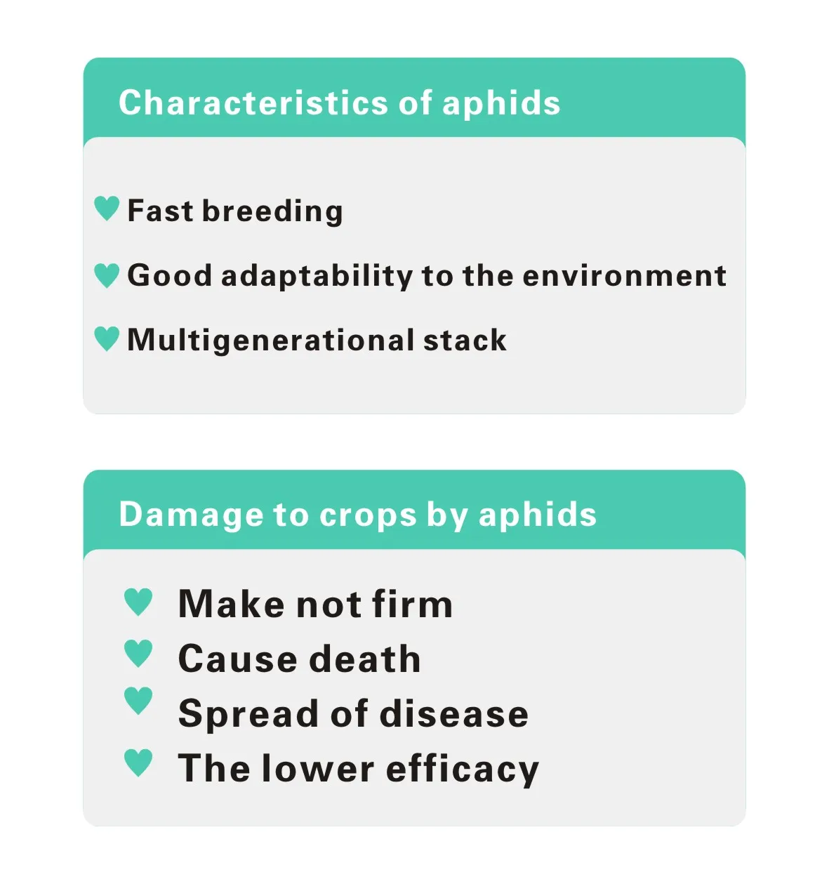 Aphid exterminator kill aphid 3-5 дней биологические грибы убивают всех видов тли без остатка
