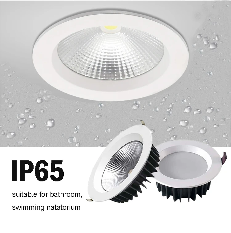 Hot Sale COB Down light 12w 15w 20w 30w IP65 Round Die-casting Aluminum Led Ceiling Light Recessed Cob Downlight For Project
