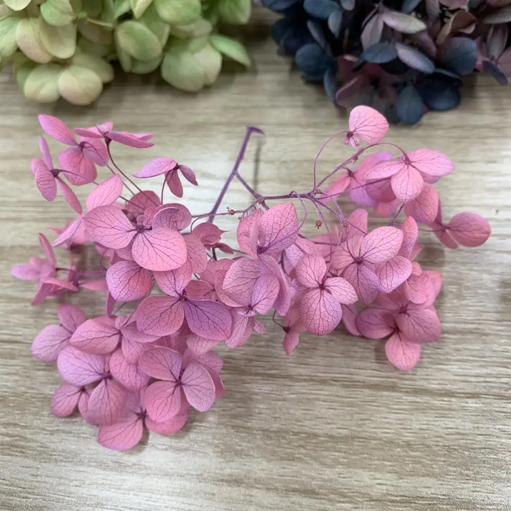 Preserved hydrangea  small leaf real touch hydrangea dried hydrangeas for flower DIY
