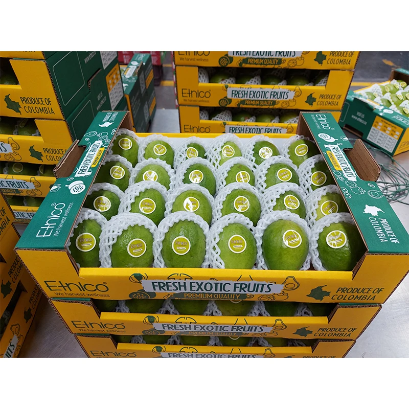 Хороший экзотический вкус свежий Feijoa Guava Steen