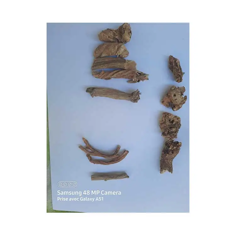 100% pure plant extract  Wholesale Supply High Quality Natural Saponaria roots