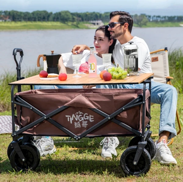 Camping carts free your hands Cross-border hot products