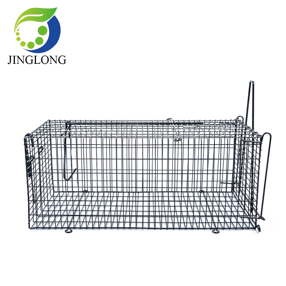 Live Animal Rat Mouse Humane Trap Cage Mush Black