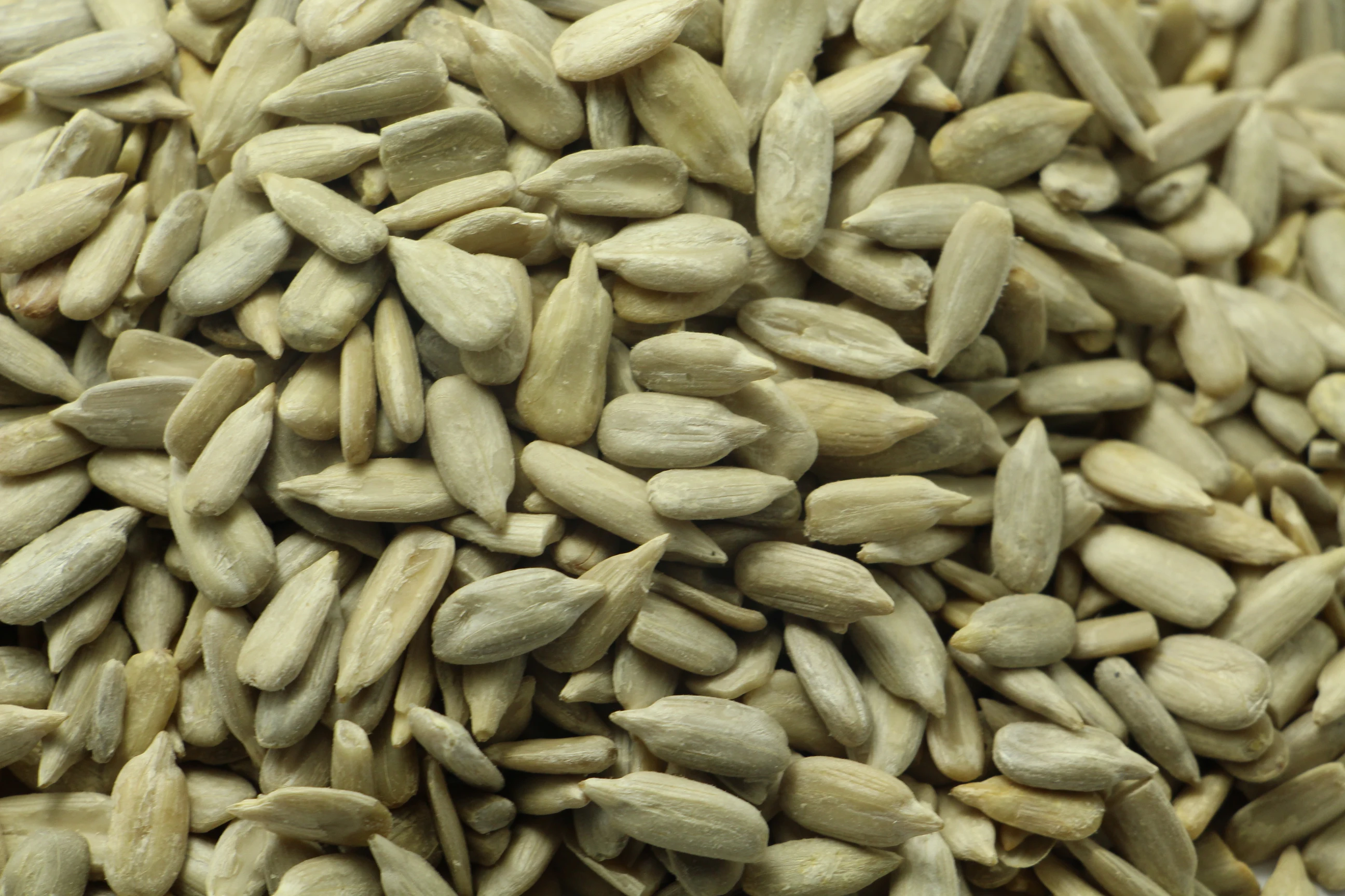 organic  sunflower kernel sunflower seeds for candy for baking
