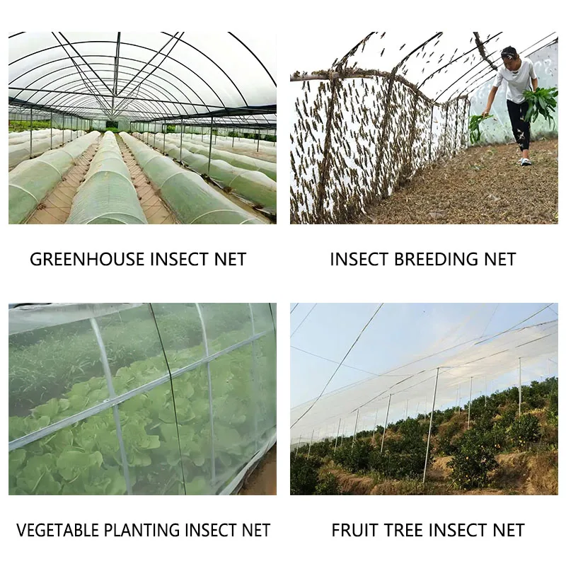 Wholesale Orange Orchard Anti Insect Net Greenhouse Fruit Protection Insect Netting For Vegetable Gardens Insect Repellent Net