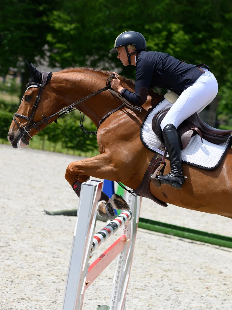 Wholesale Equestrian Jump Saddle Pad Custom New Style Comfort Breathable Horse Saddle Pads High Quality