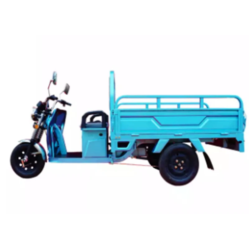 Factory Price Hot sale Three Wheel Cargo Tricycle Battery Electric Trikes for Adults 60V1000W Motorized tricycles