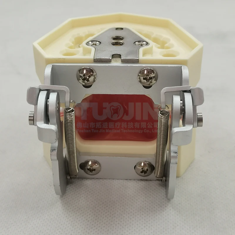 Dental Resin Teeth Model With 28PCS Typodont Tooth Model Medical Training Equipment Product