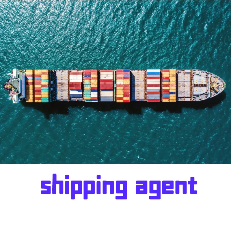 Cheap ddp Air Sea freight forwarder from China to Europe UK logistics agency 1688 agent procurement