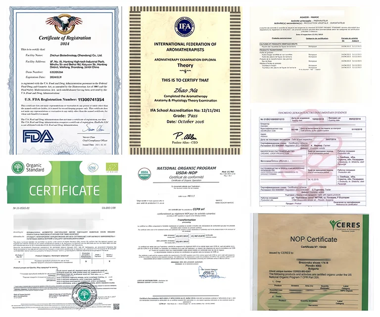 OEM Creatine Monohydrate Micronized Powder 500G Micronized Creatine Monohydrate Creatine Powder For Adults