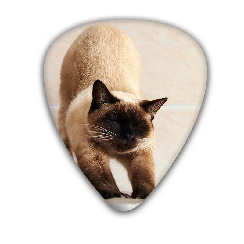 special design  0.71mm cute cat series acoustic Guitar Picks 6 designs for you chose
