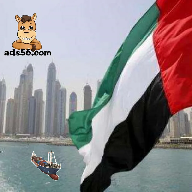 Door To Door Sea/Air Freight Aramex Express Courier Service Shipping To Saudi Arabia -Whatsapp:+86 15527506803