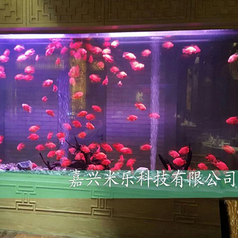 Chinese factory custom design perfect artificial wall giant glass 200 gallon aquarium