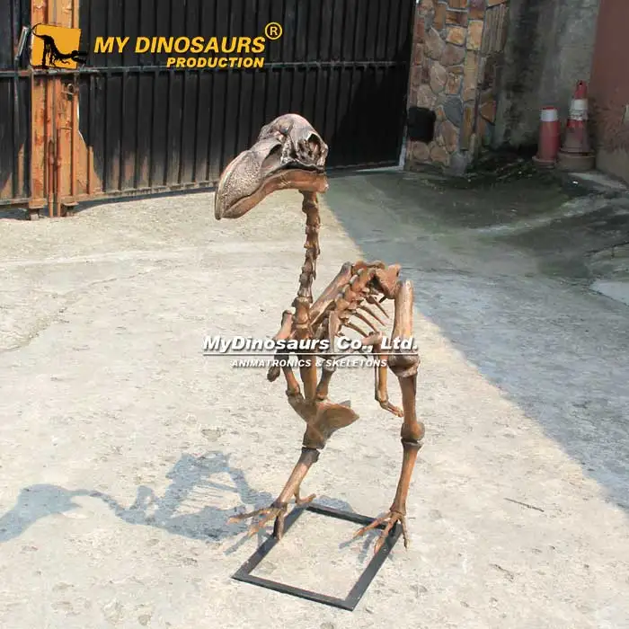 MY DINO AS-049 Educational Prehistoric Animal Dodo Bird Skeleton