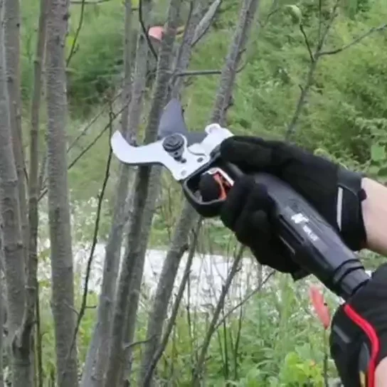 Professional Cordless Electric Pruner Scissors Battery Powered 36V Telescopic Tree Long Reach Pole Pruner Shear