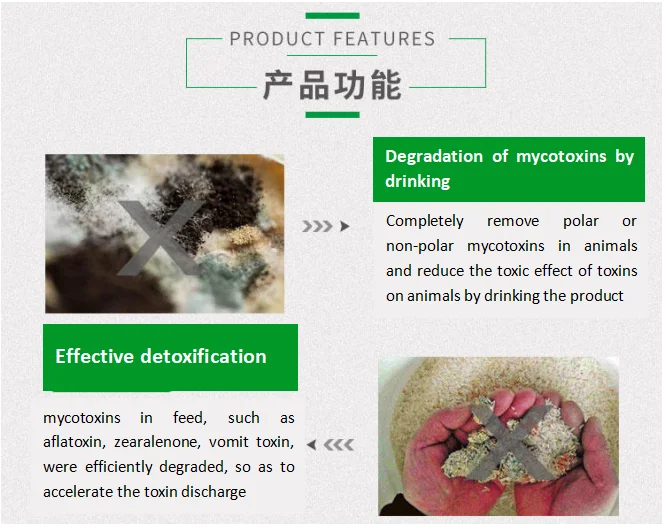 Кормовая добавка Bacillus Subtilis для животных средство удаления форм с микротоксином увеличение скорости поглощения