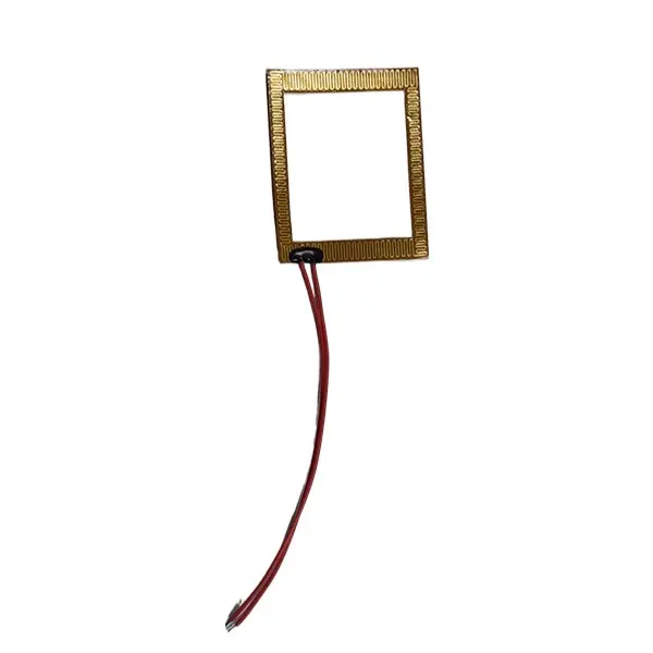 2022 Customize Polyimide Film Insulated Flexible Heaters Heating Element